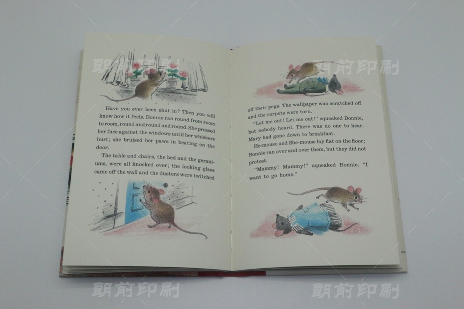 廣州設(shè)計(jì)印刷畫(huà)冊(cè)公司 廣州圖文畫(huà)冊(cè)制作公司