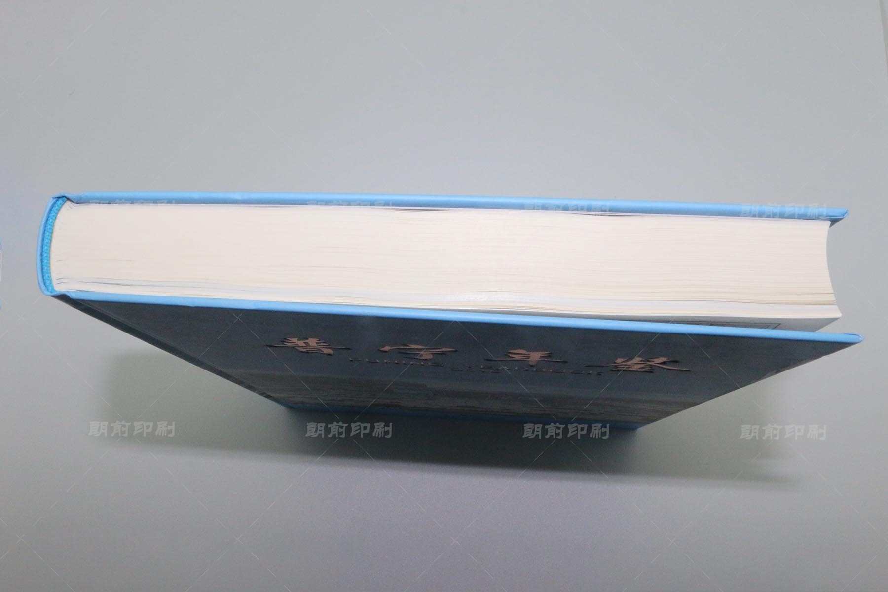 廣州白銀畫冊(cè)設(shè)計(jì)印刷 廣州精裝畫冊(cè)印刷公司