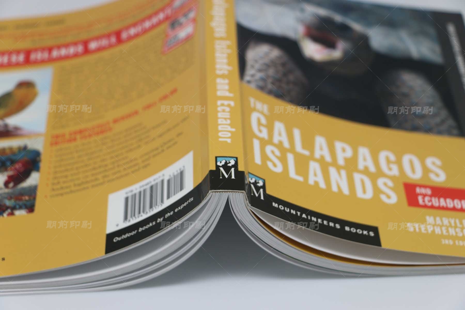 廣州畫冊設計印刷 廣州專業(yè)畫冊印刷加工價格