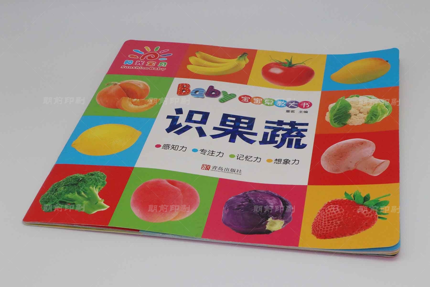 廣州畫(huà)冊(cè)印刷尺寸一般是多少錢(qián) 廣州企業(yè)宣傳畫(huà)冊(cè)印刷